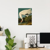 Het hele Crane Audubon-vogelschilderen Poster (Thuiskantoor)