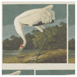 Het hele Crane Audubon-vogelschilderen Stof