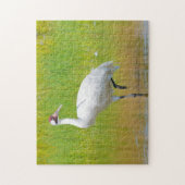 Het hele Crane Wading in Marsh Legpuzzel (Verticaal)