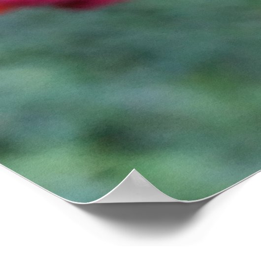 Het hele schema van dingen poster (Hoek)