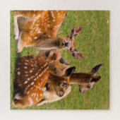 Het herder van Deer in de gras Legpuzzel (Horizontaal)