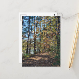 Het herfst bos pad briefkaart