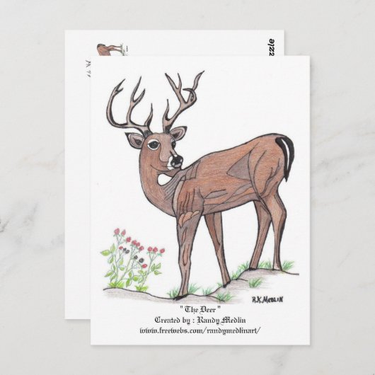 "Het hert" Briefkaart (Voorkant / Achterkant)