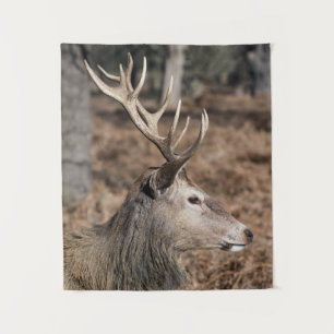Het hertenbestand van Richmond Park, Londen, Veren Wandkleed