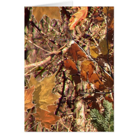 Het het Schilderen van de Camouflage van het Hunte (Voorkant)