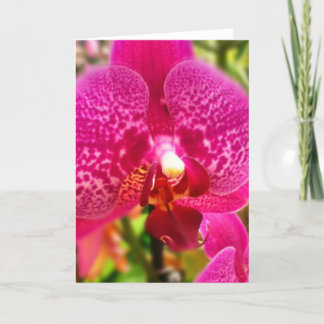 Het hete Roze Lege Wenskaart van de Orchidee Kaart