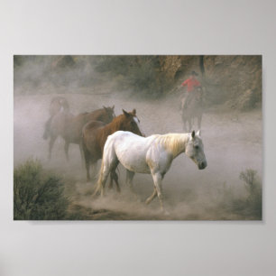 Het Hoeden van de cowboy Poster