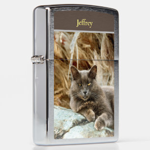 Het Hoesje van de Kat Pillow