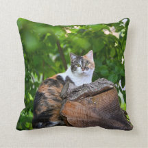 Het Hoesje van de Kat Pillow