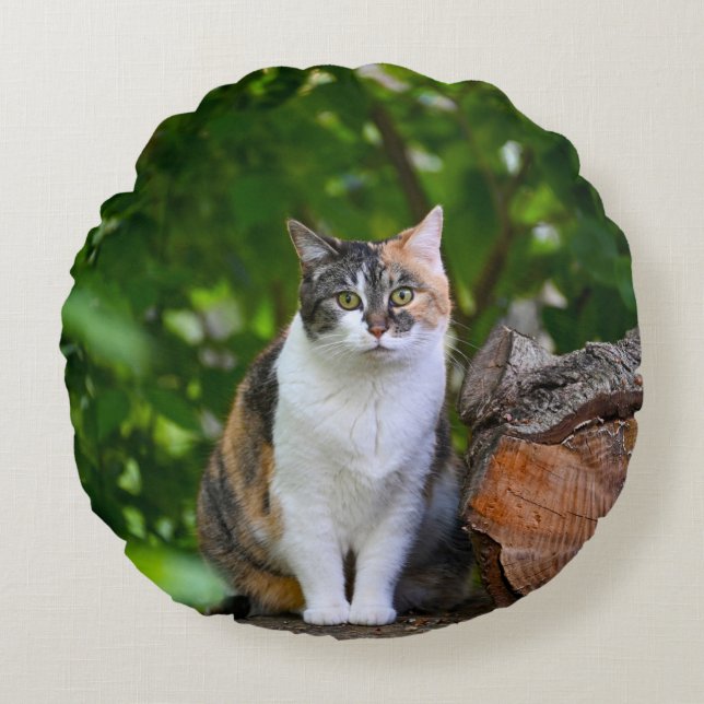 Het Hoesje van de Kat Pillow Rond Kussen (Voorkant)