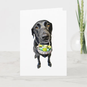 Het Hoesje van de mand Feestdagen Kaart