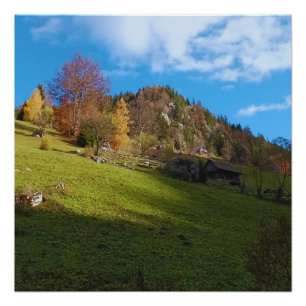 Het Hoge Weiland - Wilde Natuur Roemenië Perfect Poster