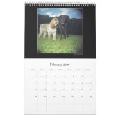 Het Holga Project Kleurkalender 2 - Gepersonalisee Kalender (Feb 2026)