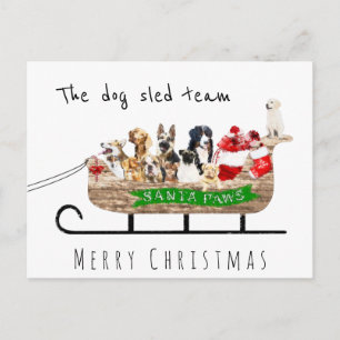 Het hondenhondenteam santa sleigh kerry kerst briefkaart
