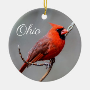 Het hoofd Ornament van Ohio