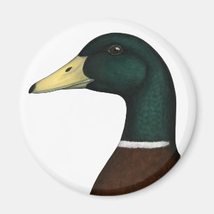Het Hoofd van de Mannetjeseend van de wilde eend Magneet