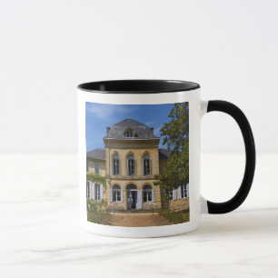 Het hoofdgebouw van het kasteel, gerenoveerd door mok
