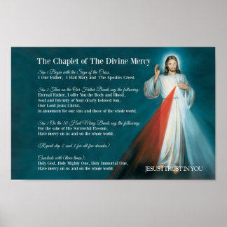 Het HOOFDSTUK van de DIVINE MERCY Prayer Poster
