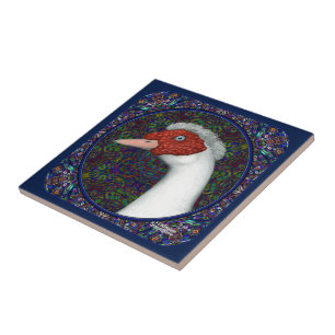 Het HoofdWit van de Eend van Muscovy Tegeltje