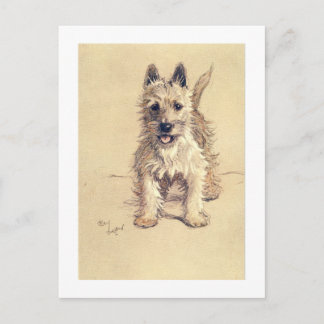 Het Hoogland Wit Terrier van het westen Briefkaart