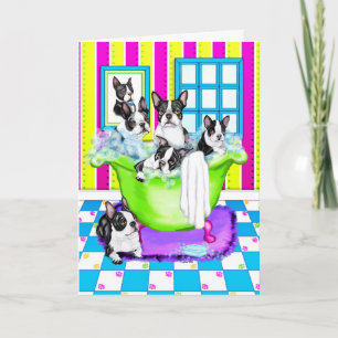 Het Hoogtepunt van de Ton van Boston Terrier Bedankkaart