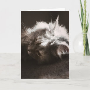 Het hopen van dingen die omhoog kijken/denken van kaart