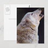 HET HUILENDE BRIEFKAART VAN DE WOLF (Voorkant / Achterkant)