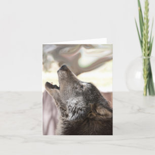 Het huilende Wenskaart van de Wolf Kaart
