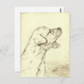 Het Ierse Puppy van de Wolfshond Briefkaart (Voorkant / Achterkant)