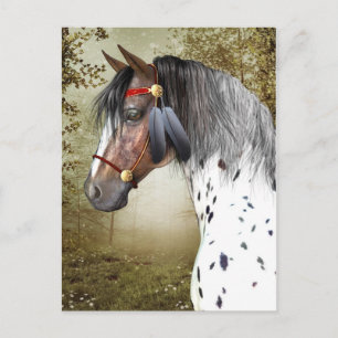 Het Indiase Pony Briefkaart