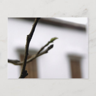 Het Initiaal Briefkaart