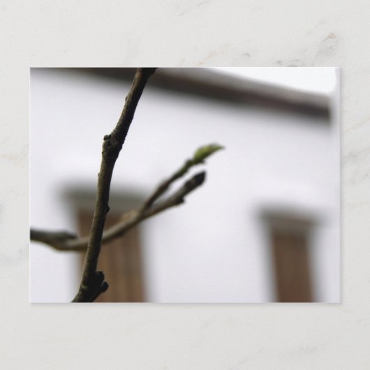 Het Initiaal Briefkaart (Voorkant)