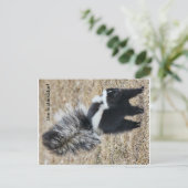het Instinkator Skunk briefkaart (Staand voorkant)