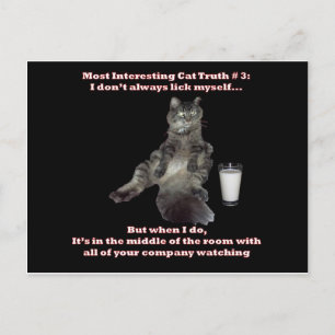 Het interessantste kat #3.jpg briefkaart