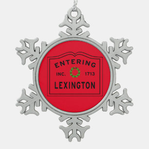 Het invoeren van Lexington MA Snowflake Framed Orn Tin Sneeuwvlok Ornament