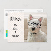 Het is al een tijdje geleden, Westie Wearing Glass Briefkaart (Voorkant / Achterkant)