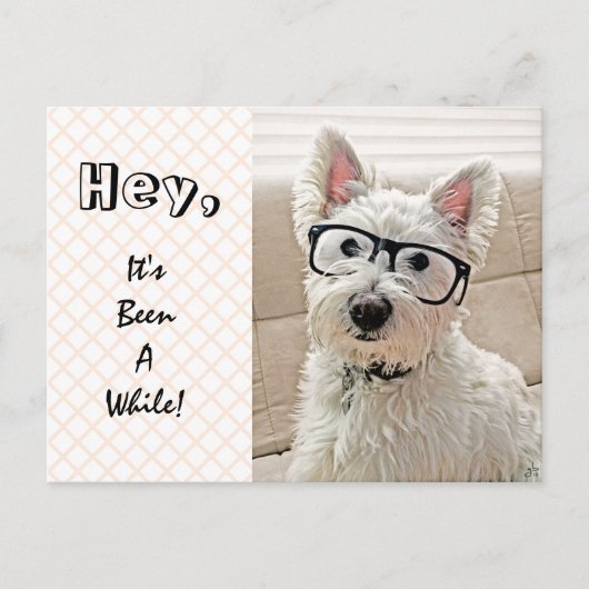 Het is al een tijdje geleden, Westie Wearing Glass Briefkaart (Voorkant)