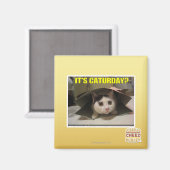 Het is Caturday? Magneet (Voorkant / Achterkant)