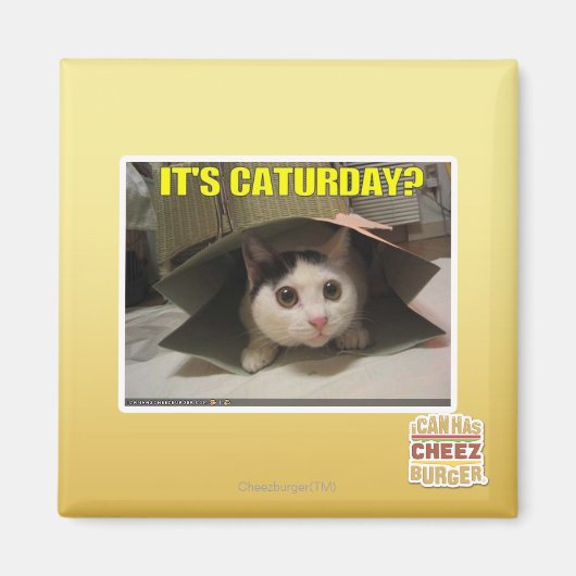 Het is Caturday? Magneet (Voorkant)