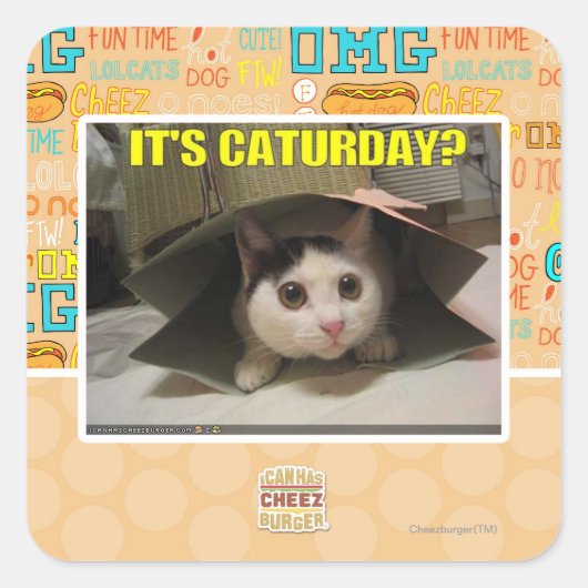 Het is Caturday? Vierkante Sticker (Voorkant)
