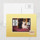 Het is de kat briefkaart (Voorkant / Achterkant)