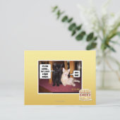 Het is de kat briefkaart (Staand voorkant)