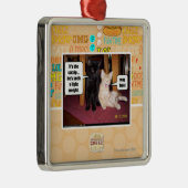 Het is de katnip metalen ornament (Rechts)