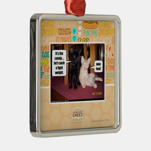 Het is de katnip metalen ornament (Rechts)