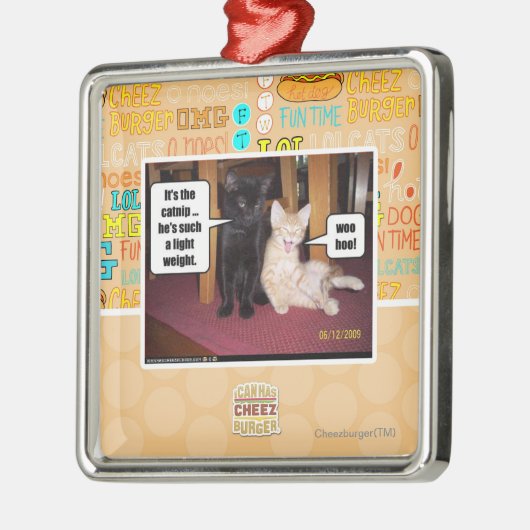 Het is de katnip metalen ornament (Links)