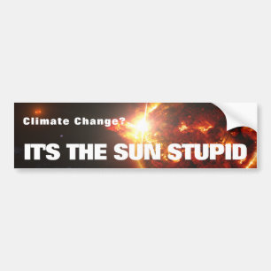 Het is de Sun Stupid Bumpersticker