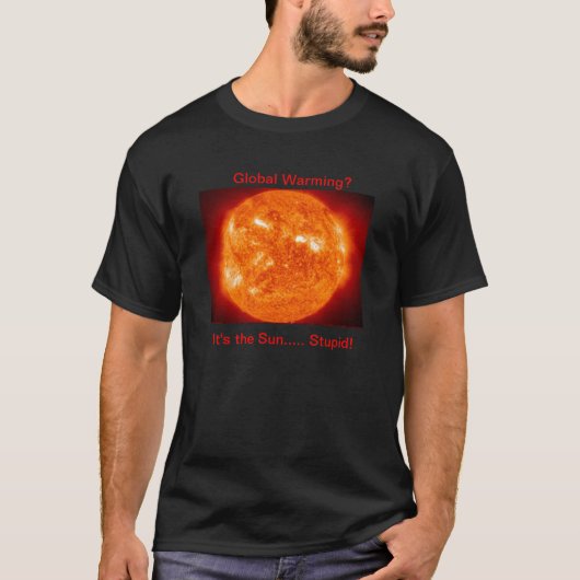 Het is de Sun Stupid. T-shirt (Voorkant)