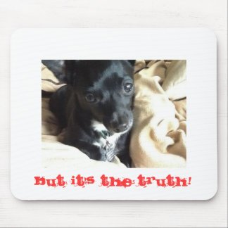 Het is de waarheid muismat