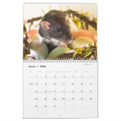 Het is de wereldagenda van een Rat Kalender (Mar 2026)