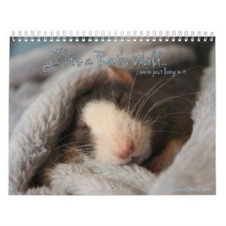 Het is de wereldagenda van een Rat Kalender